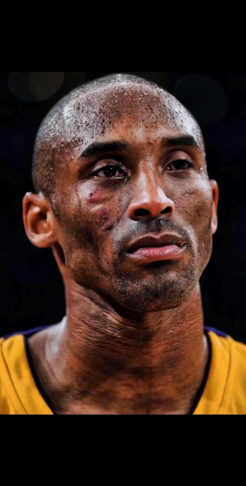 新秀成为全场最大惊喜（新秀成全场最大亮点）